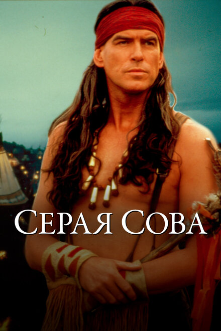 Серая сова